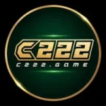 C222 Game