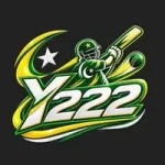 Y222 Game